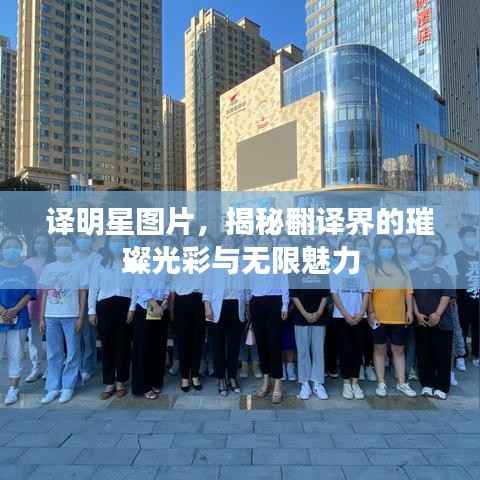 译明星图片,揭秘翻译界的璀璨光彩与无限魅力