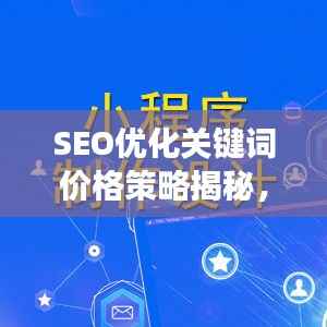 SEO优化关键词价格策略揭秘,如何巧妙投入实现高效回报?