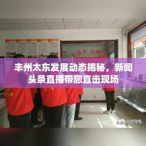 丰州太东发展动态揭秘,新闻头条直播带您直击现场