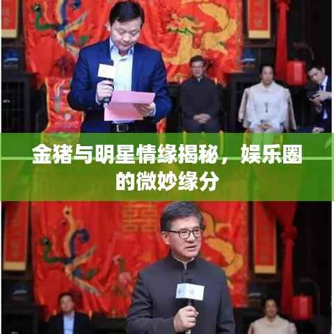 金猪与明星情缘揭秘,娱乐圈的微妙缘分